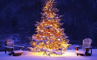 С Новым 2026 годом!