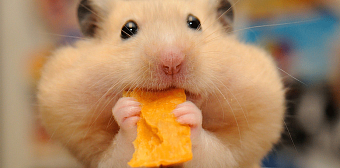 НОВОСТИ компаний 