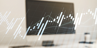 Школа Экономического детектива