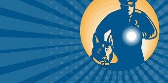 Перспективы рынка охранных услуг в России. Тренды на 2022 год