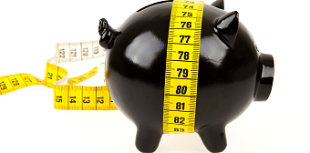 Школа Экономического детектива