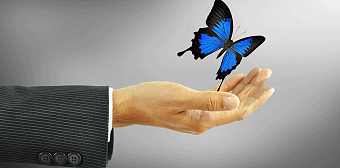 «Эффект бабочки» в функции безопасности бизнеса. Как его использовать? 